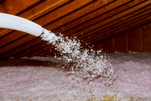Best Geographic-Specific Insulation Services in Muskegon, MI