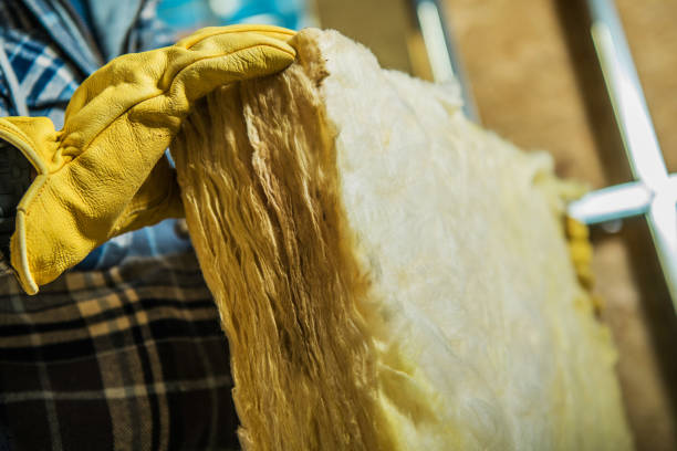 Best Commercial Insulation in Muskegon, MI