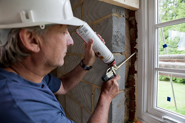 Best Eco-Friendly Insulation in Muskegon, MI