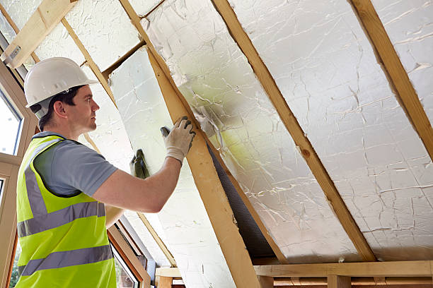 Best Insulation Maintenance and Repair in Muskegon, MI