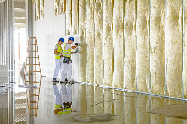 Trusted Muskegon, MI Insulation Contractor Experts